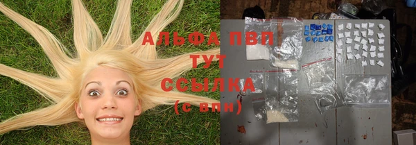 mdpv Вяземский