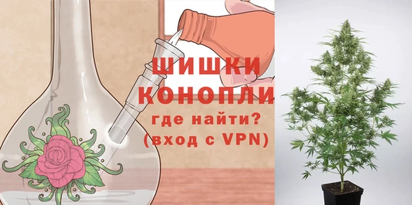 mdpv Вяземский