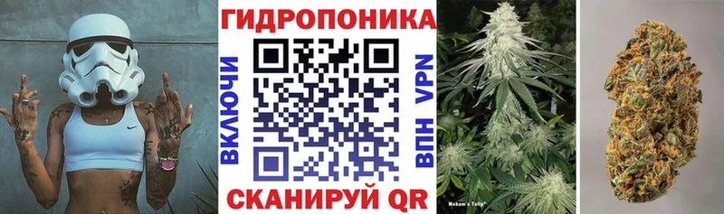 Конопля план  Новошахтинск 